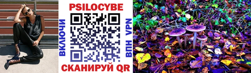 купить наркоту  Спасск-Дальний  Псилоцибиновые грибы Magic Shrooms 