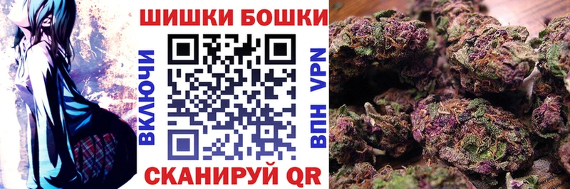 где купить наркоту  Спасск-Дальний  Канабис Ganja 